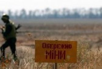 116 км доріг та 600 гектарів: у МВС розповіли про розмінування Харківщини