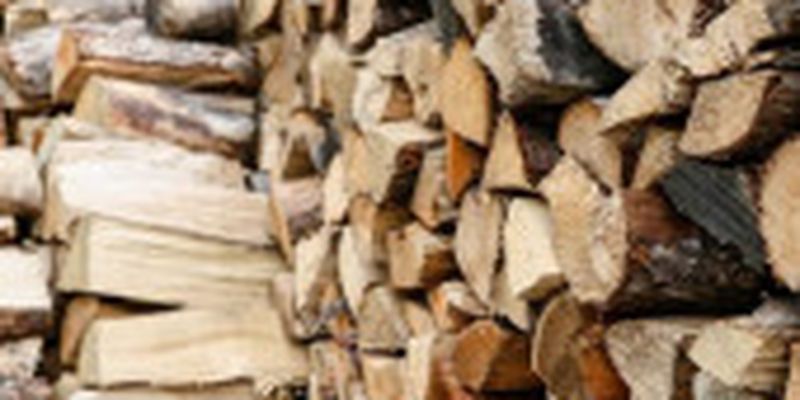 Уряд заборонив експорт дров