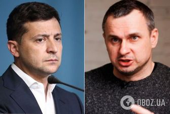 Сенцов раскритиковал план Зеленского по Донбассу