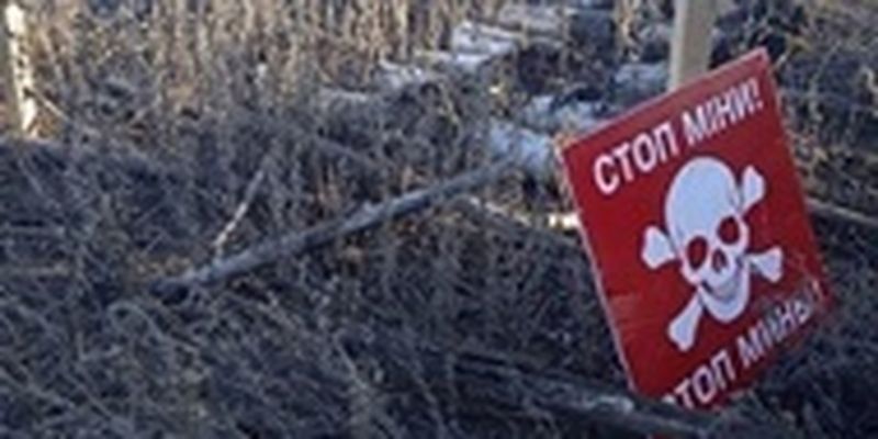 В Херсонской области на российской взрывчатке подорвался пастух