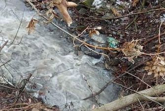 В Житомире снова сбросили неочищенные стоки в реку Тетерев