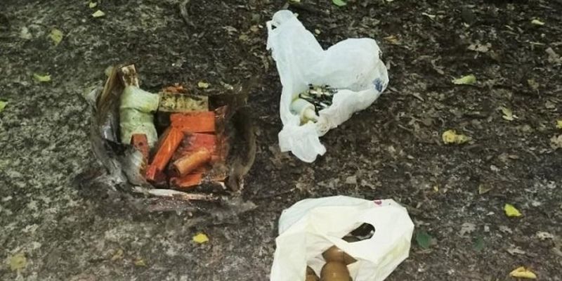 На Лысой горе нашли схрон боеприпасов и взрывчатки