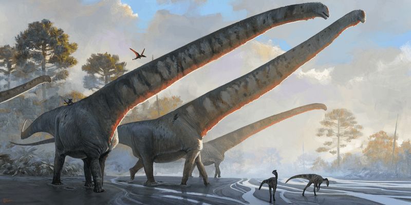 Более 15 м в длину. Ученые обнаружили останки динозавра с самой большой шеей среди всех животных