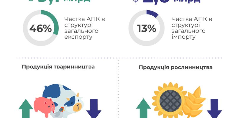Україна у 2020 році експортувала агропродукції у 4 разів більше, ніж імпортувала