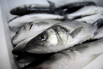 Назвали топ-5 країн-імпортерів української риби
