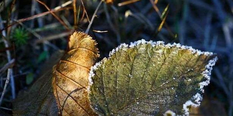 В Україні посилиться похолодання: прогноз погоди на 19 листопада