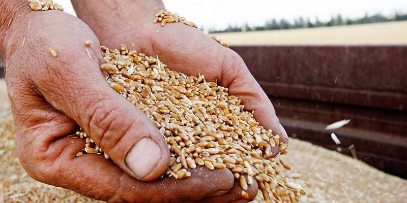 Украина планирует пересмотреть условия зернового соглашения