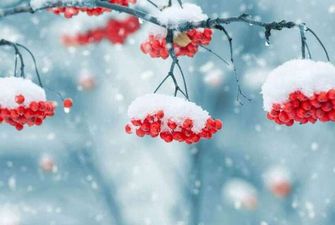 Зима отступит: появился свежий прогноз погоды по Украине