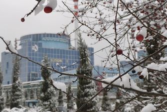 На Хмельницкой АЭС подтвердили аварийное отключение энергоблока