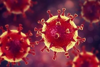 Ученые создали искусственный вирус, блокирующий коронавирус