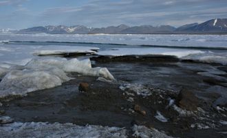 Возле Гренландии случайно нашли самый северный в мире остров