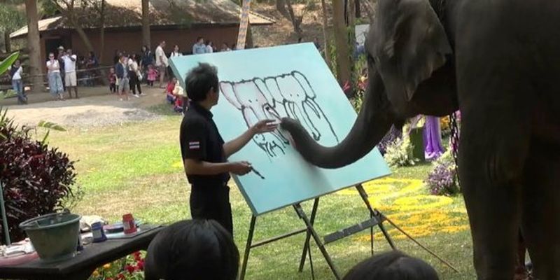 Слониха-художник удивила туристов