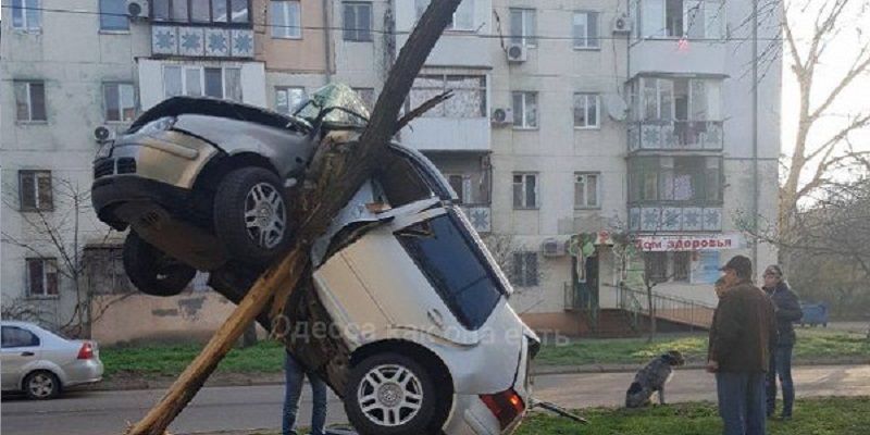 Чудом никто не погиб: из-за дорожной ямы авто влетело на дерево в Одессе